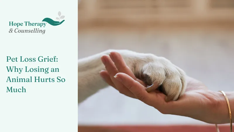Pet Loss Grief: Why Losing an Animal Hurts So Much